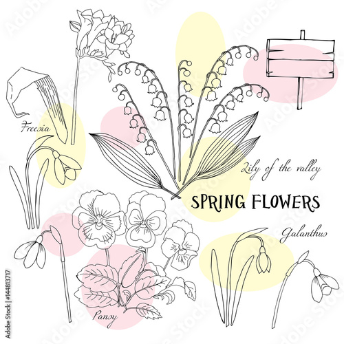 Background with Snowdrops