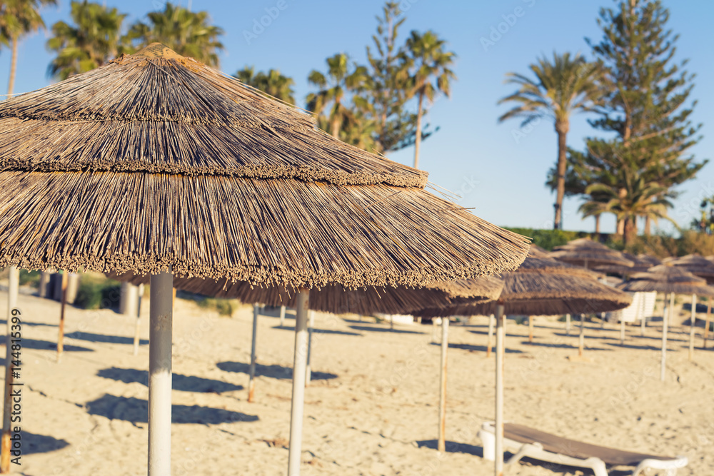 Decorative umbrellas made of palm branches on the background of the beach