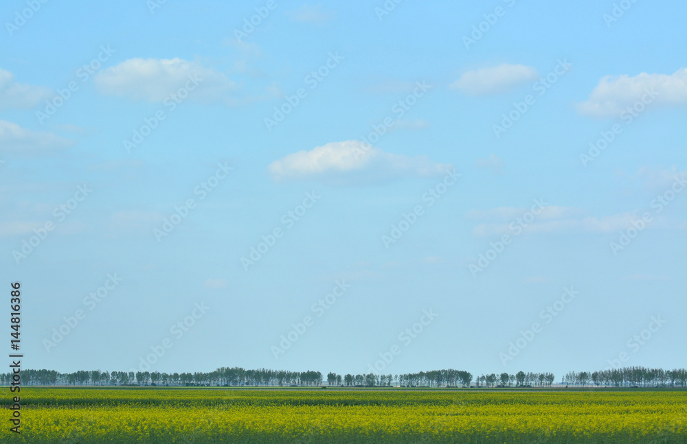 Spring landscape with trees on blue sky background