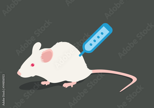 Lab white rat vector illustration