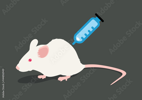 Lab white rat vector illustration