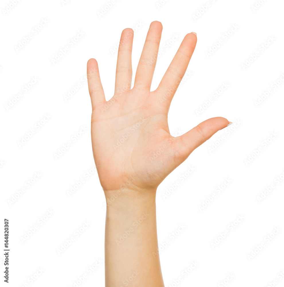Take five gesture - outstretched open palm, cutout Take five gesture - outstretched open palm, cutout