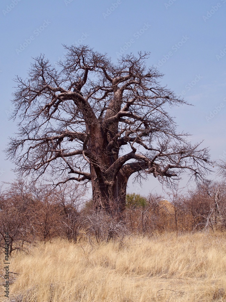 Botswana Botswana