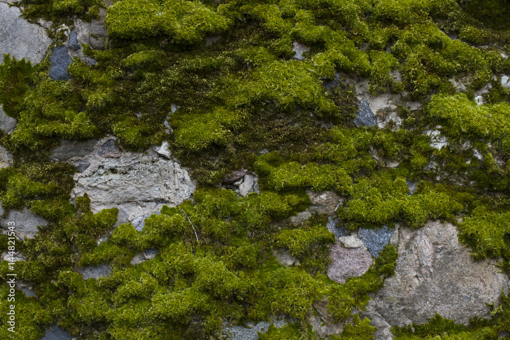 Old wall with moss as background Old wall with moss as background