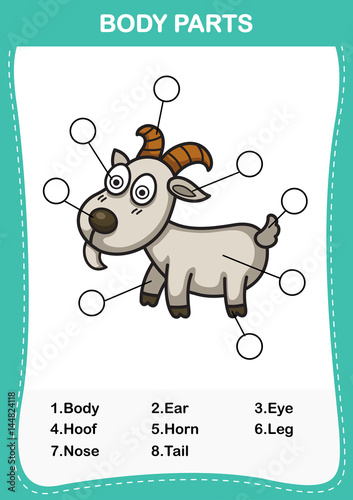 Illustration of goat vocabulary part of body,Write the correct numbers of body parts