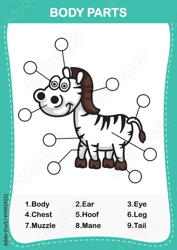 Illustration of zebra  vocabulary part of body,Write the correct numbers of body parts