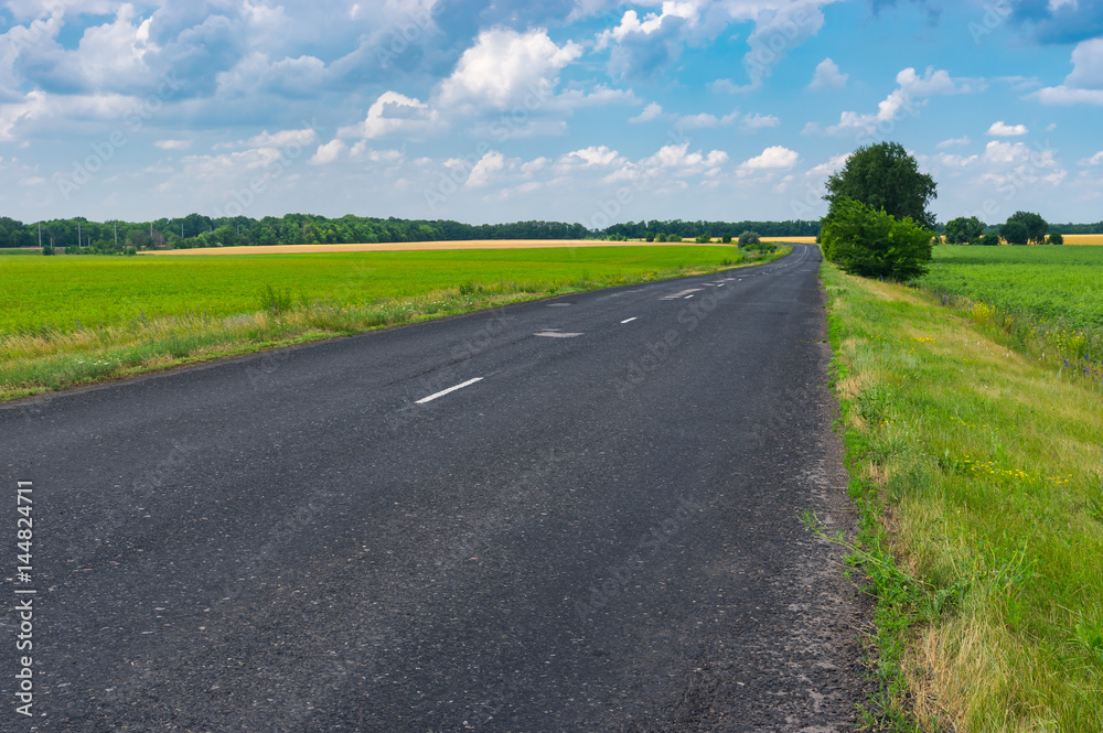 Classic summer landscape with asphalt rural road in central Ukraine