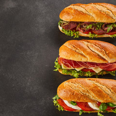 Three different types of gourmet sandwiches