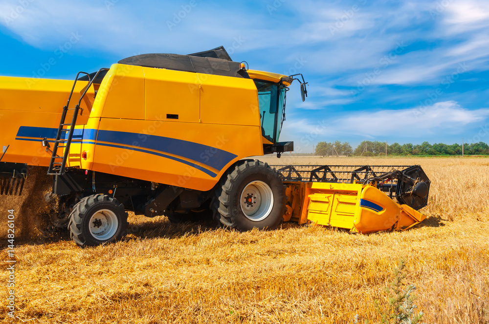 Fototapeta premium Combine harvester on a wheat field.