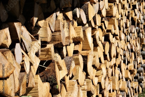 Firewood pile