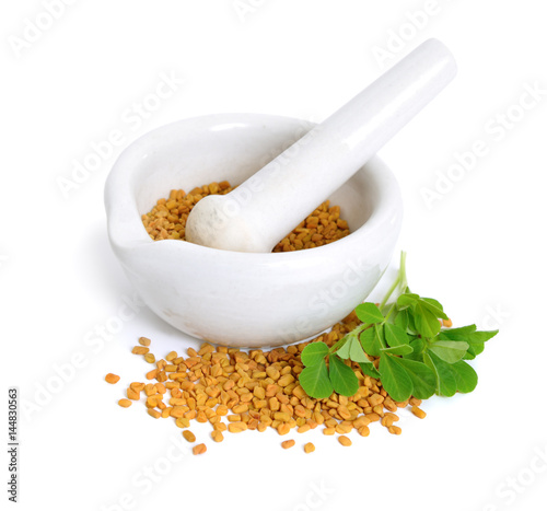 Fenugreek seed with pharmaceutical mortar. (Trigonella foenum-graecum) photo