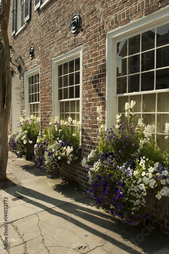 Three windows with window boxes holding white flowers in spring in Charleston.