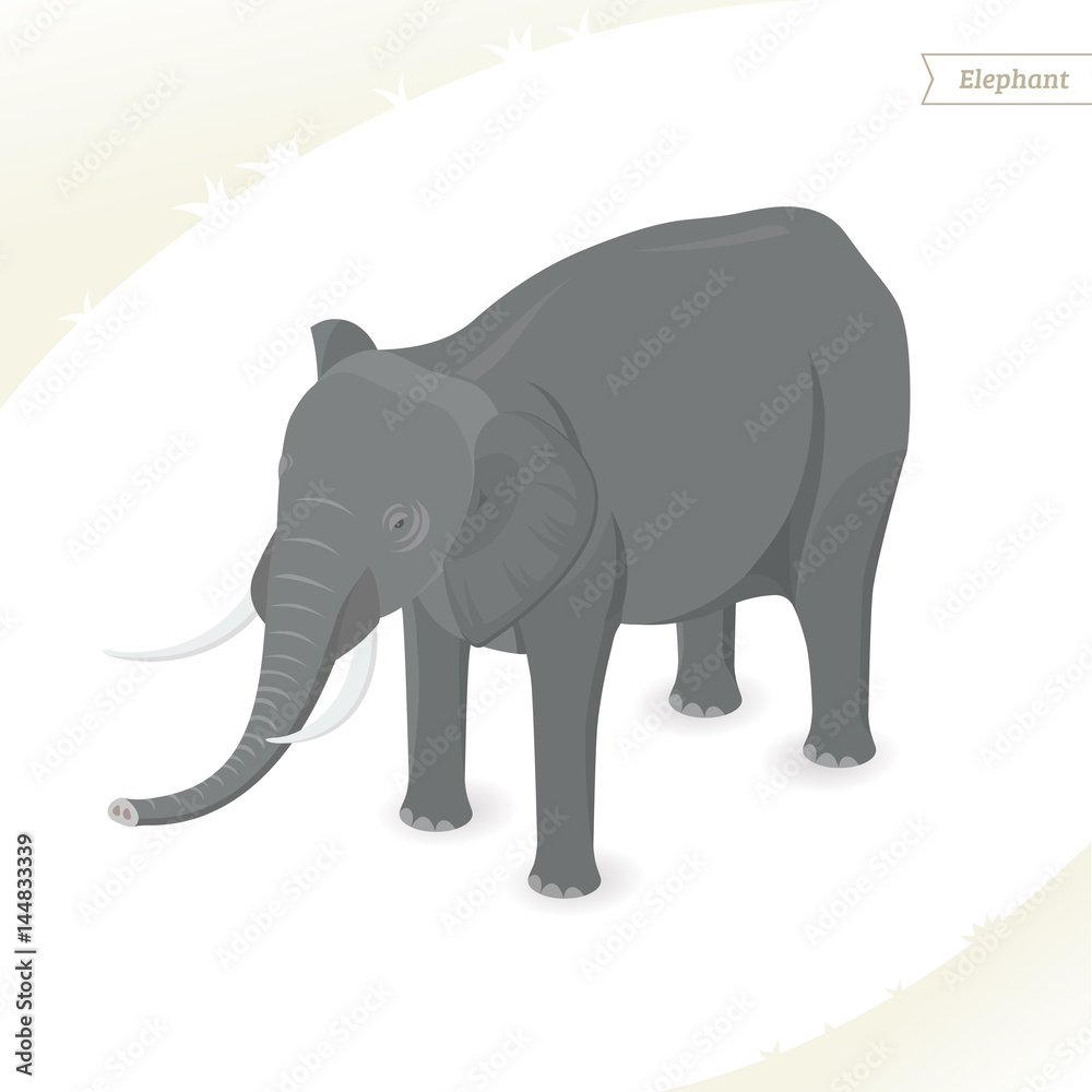 Fototapeta premium Elephant isolated on white background. Isometric view. Vector illustration.