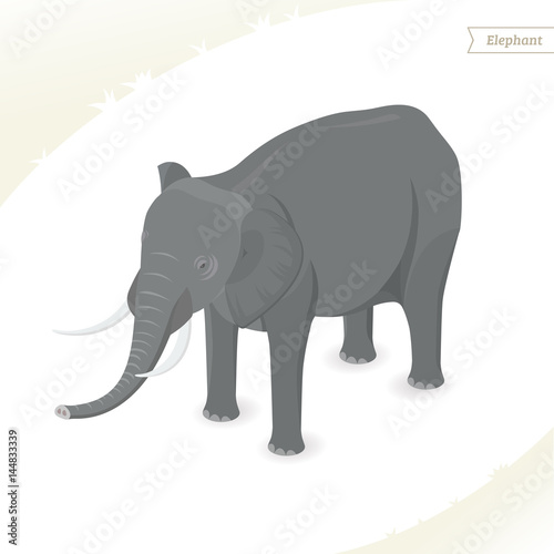 Elephant isolated on white background. Isometric view. Vector illustration. © petrborn