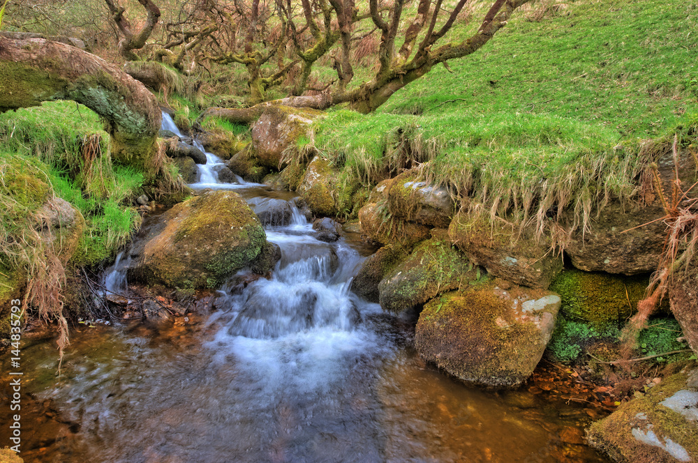 Obraz premium Kleiner Bach im Dartmoor Nationalpark