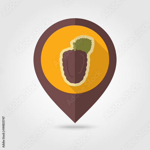 Blackberry bramble flat pin map icon. Berry fruit