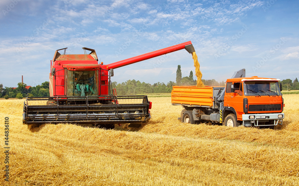 Harvester machine and tractor at harvest Harvester machine and tractor at harvest