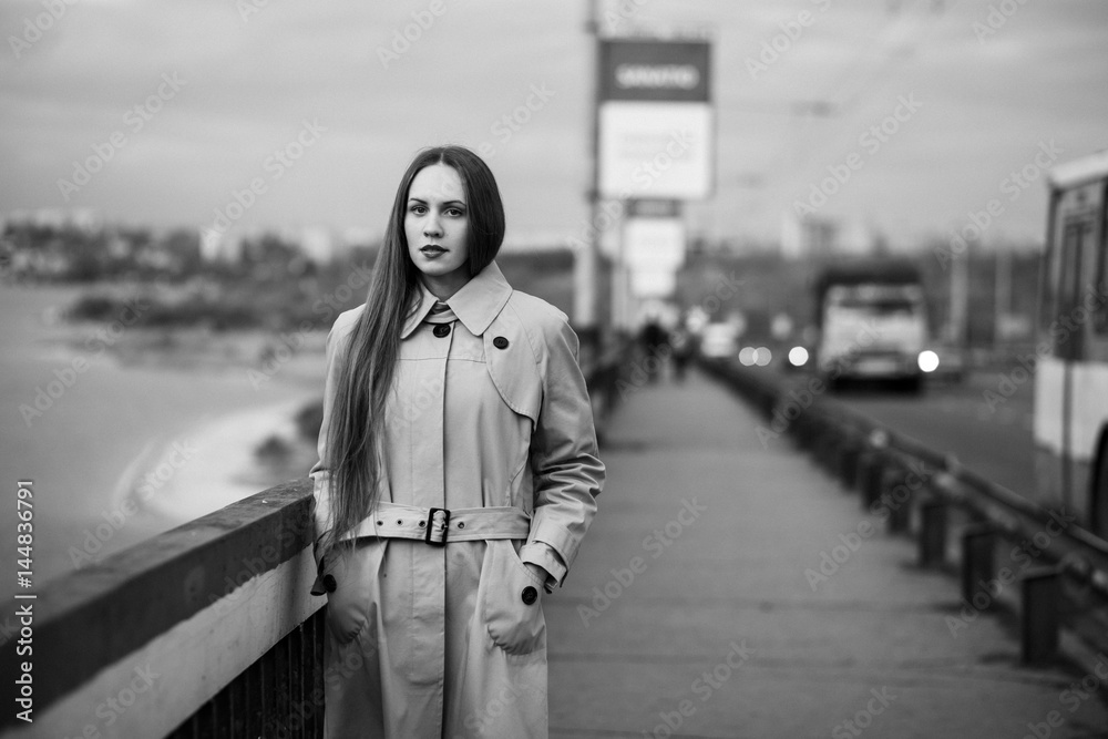 Obraz premium Girl on the bridge