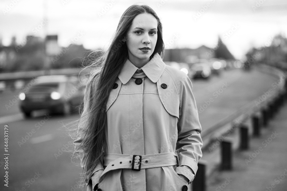 Fototapeta premium Girl on the bridge