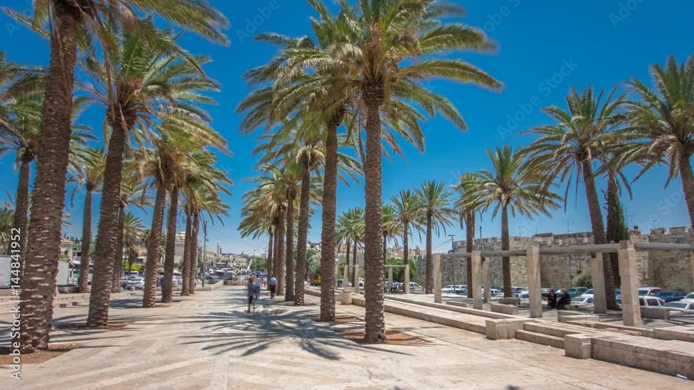 Tall palm trees on Alley Mish'ol HaPninim Garden leading to the Damascus Gate timelapse hyperlapse in Jerusalem Old City, Israel. Tall palm trees on Alley Mish'ol HaPninim Garden leading to the Damascus Gate timelapse hyperlapse in Jerusalem Old City, Israel.