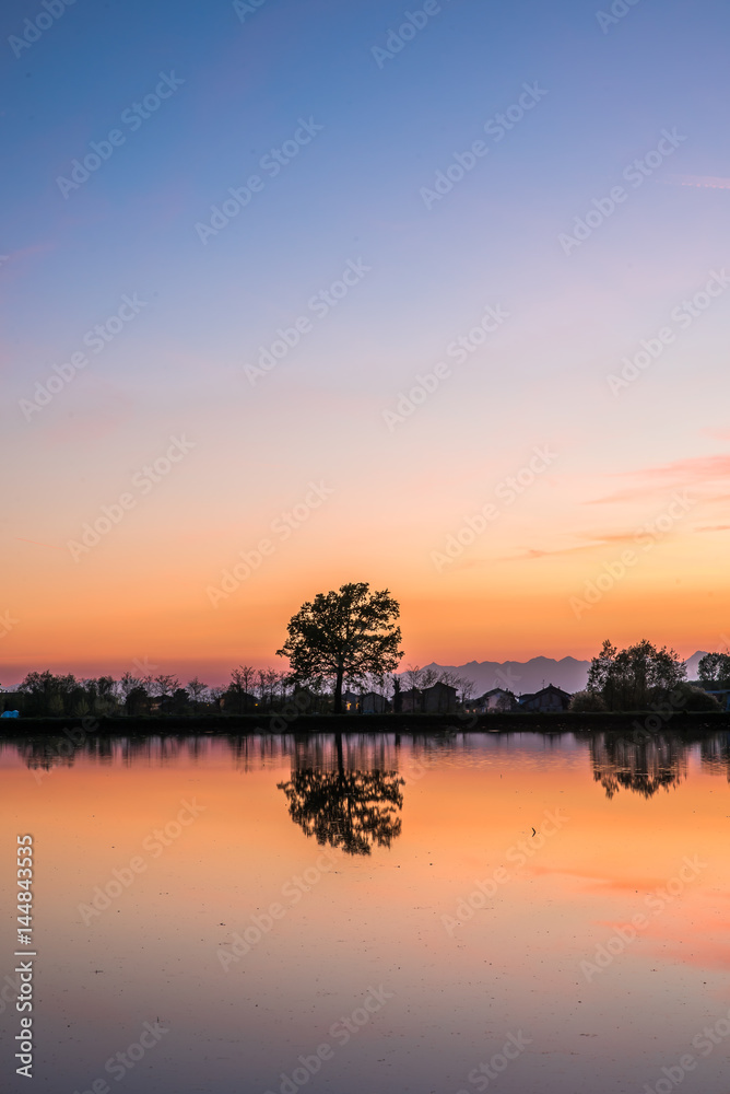 Novara, tramonto in risaia