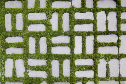 pattern with a sprouted grass I