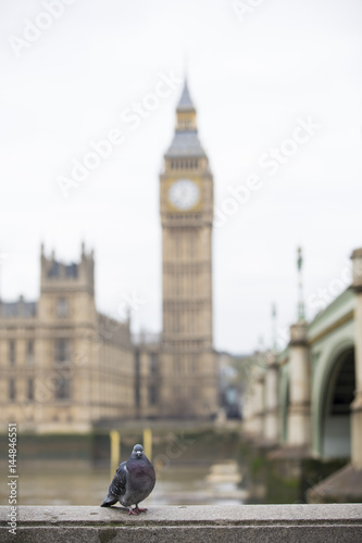 Big Ben and House of Parliament, London, UK