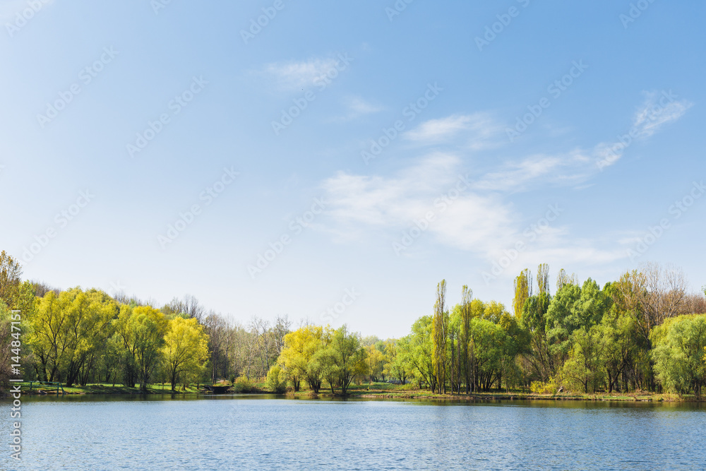 Fototapeta premium lake and forest landscape