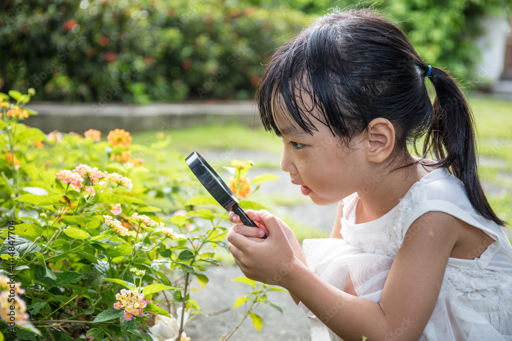 Asian Chinese little girl looking at flower through a magnifying glass Asian Chinese little girl looking at flower through a magnifying glass