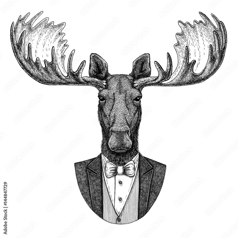 Moose Elk Hipster Animal Hand Drawn Illustration For Tattoo Emblem Moose elk hipster animal hand drawn illustration for tattoo emblem