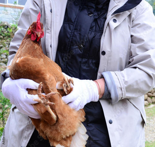 A woman holding a hen