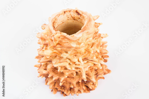 Polish-Lithuanian traditional spit cake ('tree cake') -sekacz (polish) or sakotis (lithuanian) on a white background photo