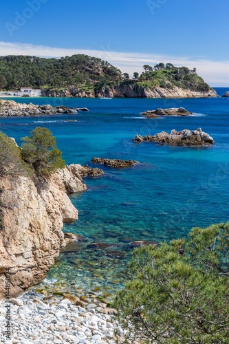Fototapeta Naklejka Na Ścianę i Meble -  Detail of the Spanish coast at summer (Catalonia,Costa Brava)