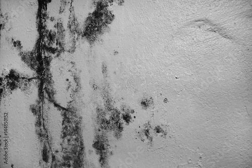 Excessive moisture can cause mold and peeling paint wall ,such as rainwater leaks or water leaks.