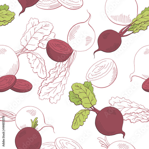 Beetroot graphic vegetable color seamless pattern sketch illustration vector