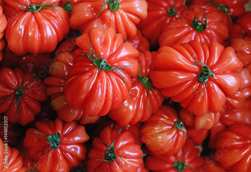 Beefsteak tomatoes background © Alex