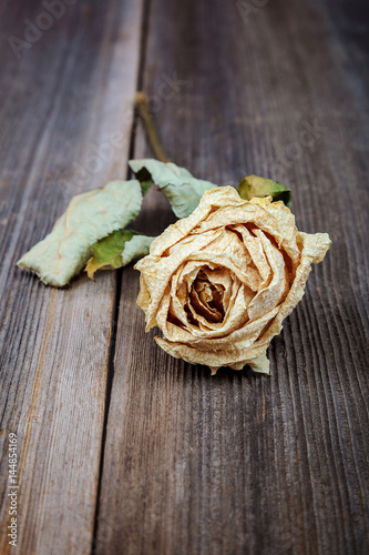 Dried flowers roses on a wooden background