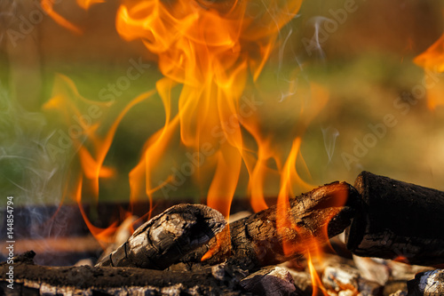 Firewood on the grill burns bright fire © shandor_gor