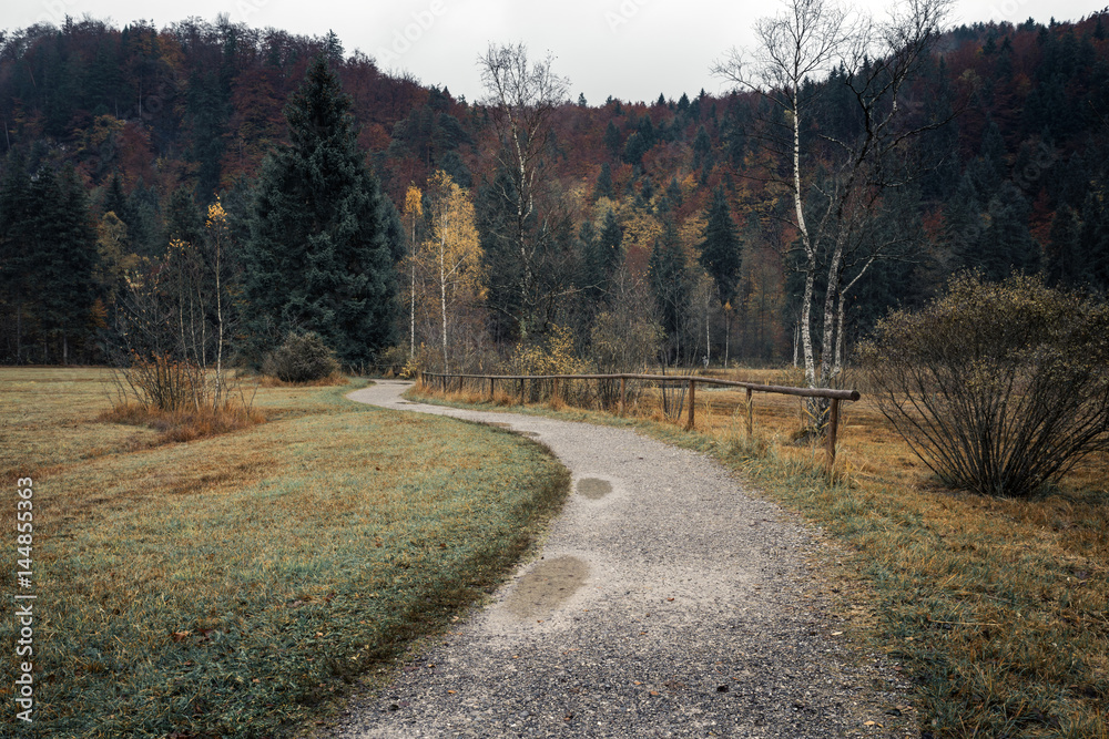 Fussen, Bavaria, Germany. A walking trail near Lake Schwansee to the autumn forest.
