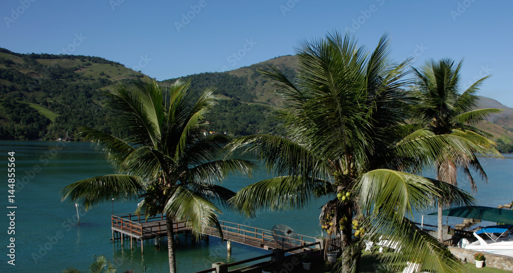 View of coconut trees and pier in Angra dos Reis, Rio de Janeiro Brazil