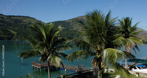 View of coconut trees and pier in Angra dos Reis  Rio de Janeiro Brazil