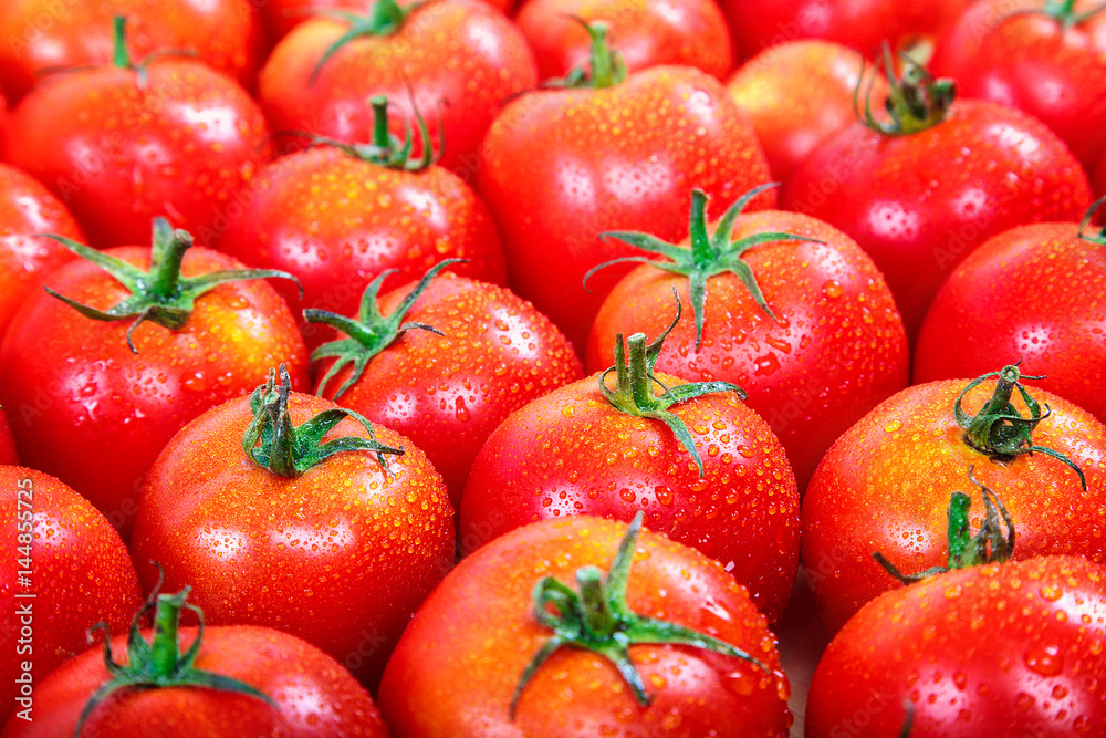 Fresh tomatoes with dew as a background Fresh tomatoes with dew as a background