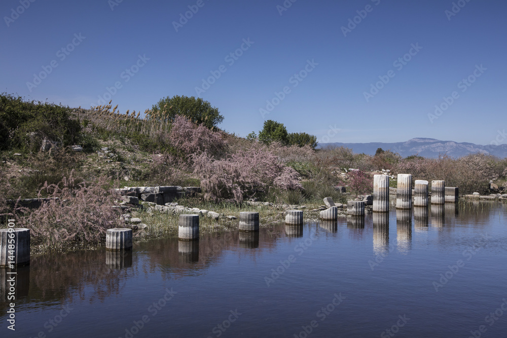 Fototapeta premium Miletos ancient city