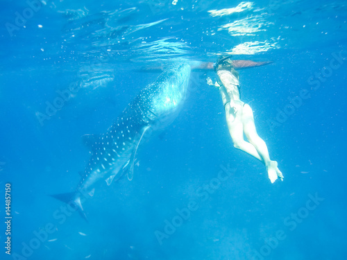 Fototapeta Naklejka Na Ścianę i Meble -  Woman snorkeling with while shark