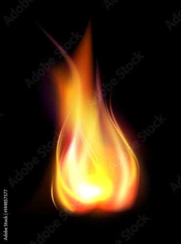 Realistic burning flame translucent element isolated on black background vector illustration.