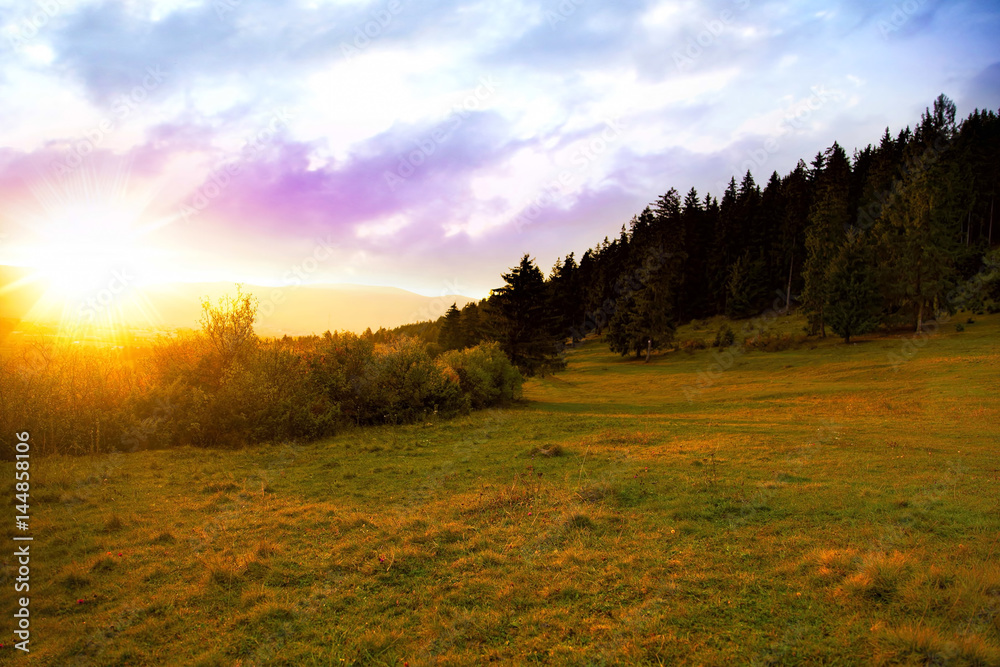 Sunset over the meadow landscape nature,warmy golden light outside view