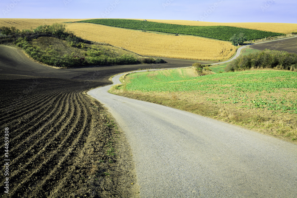 Winding empty road at Moravian Fields in Czechia.