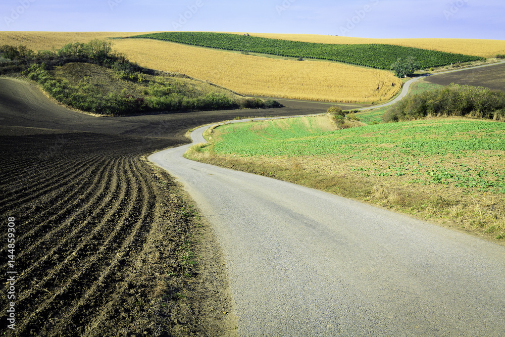 Naklejka premium Winding empty road at Moravian Fields in Czechia.