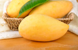 yellow mangoes on wooden background