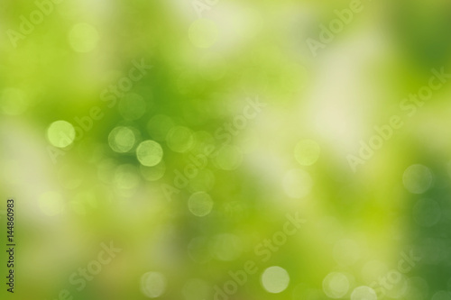 Beautiful green backgorund blur.